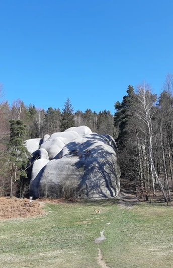 Elefantensteine - Jitrava