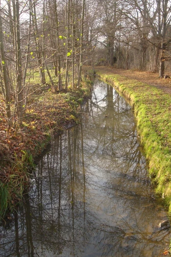 Döllnitzaue in Mügeln