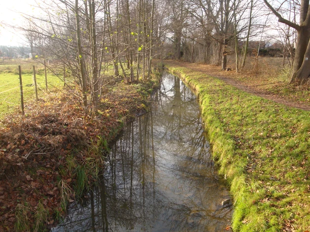Döllnitzaue in Mügeln