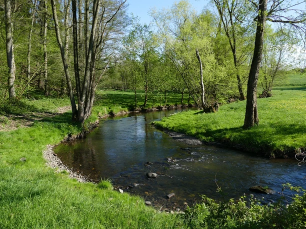 Flusslandschaft am Auenweiden-Wanderweg