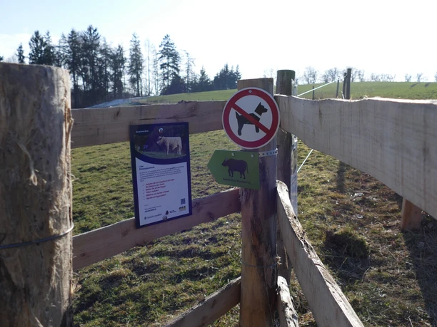 Auenweiden-Wanderweg