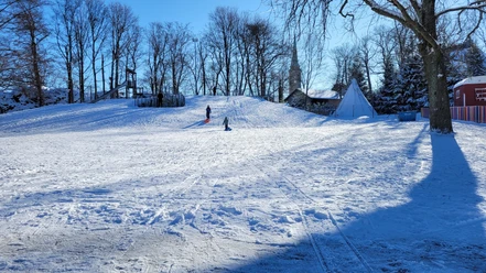 Rodelhügel im Stadtpark Falkenstein von unten