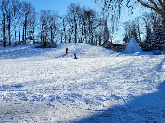 Rodelhügel im Stadtpark Falkenstein von unten