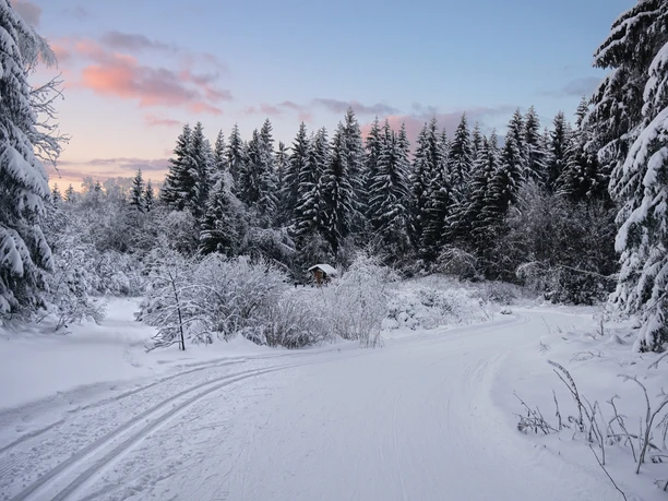 Schneckenstein Richtung Parkplatz Kielfloßgraben