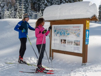Langlauf auf der Kammloipe