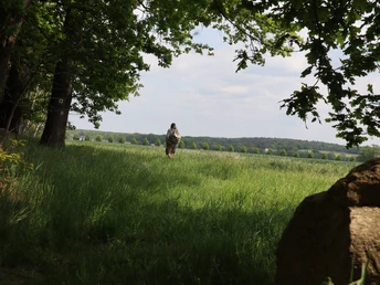 Kamenz Richtung Nebelschütz