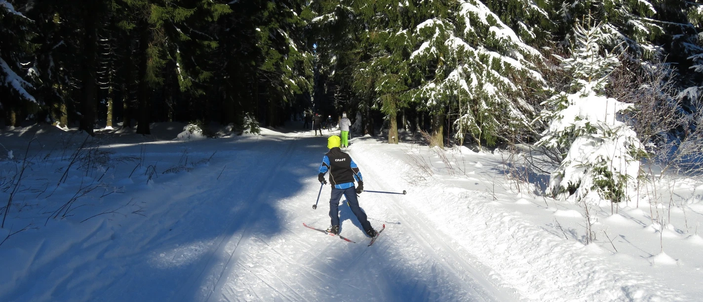 Langlauf Geyerscher Wald