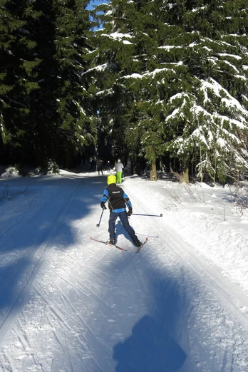 Langlauf Geyerscher Wald