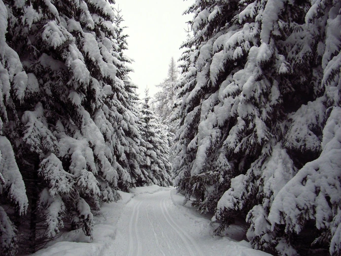 Brandbuschrunde/Sohland