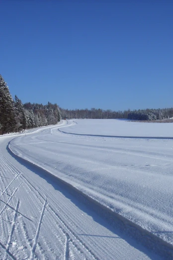 Wettkampfstrecke/Sohland