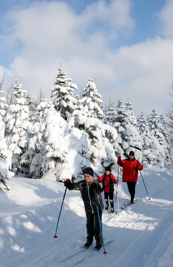 Auf der schneesicheren Schwartenbergloipe