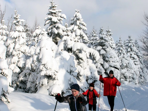 Auf der schneesicheren Schwartenbergloipe