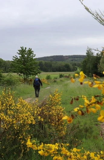 Blick Richtung Schmochtiz