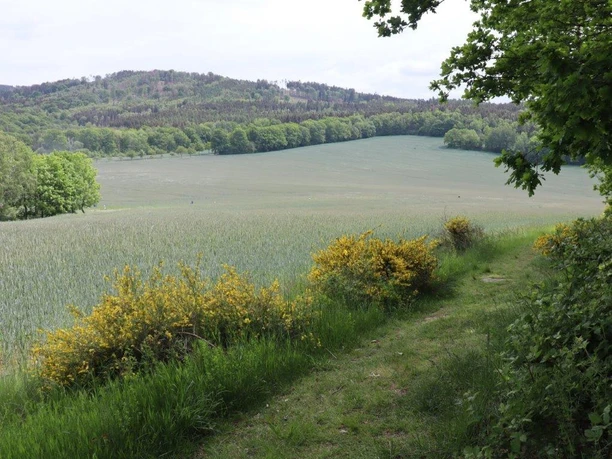 Blick auf den Czorneboh