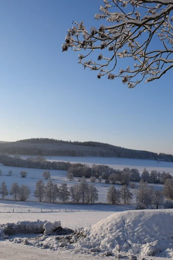 Winterlandschaft Zwönitz OT Dorfchemnitz