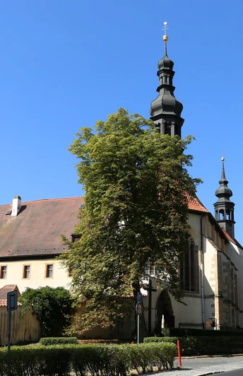Franziskanerkloster in Kadan