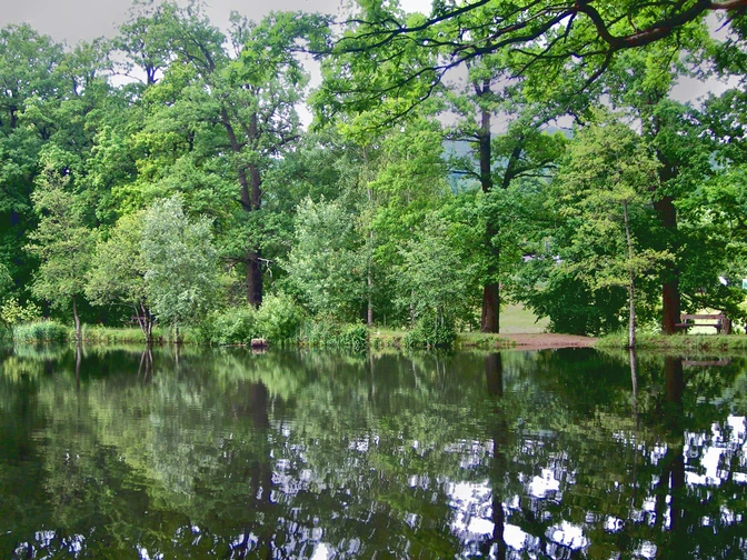 Fischteiche Eichenwäldchen