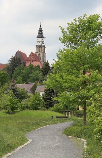 Blick auf St. Marien Kirche vom Herrenthal