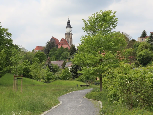 Blick auf St. Marien Kirche vom Herrenthal