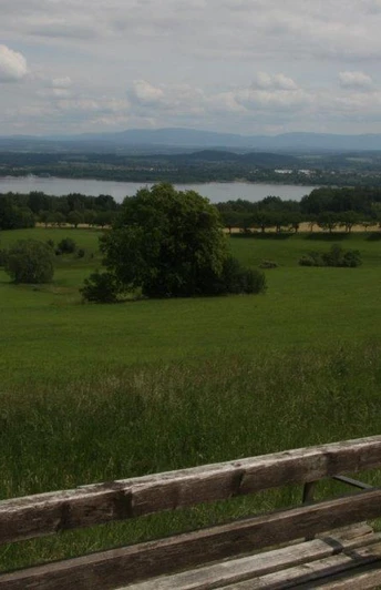 Blick von der Kirschallee auf den Berzdorfer See