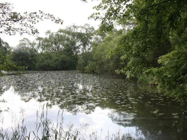 Neißesee in Görlitz