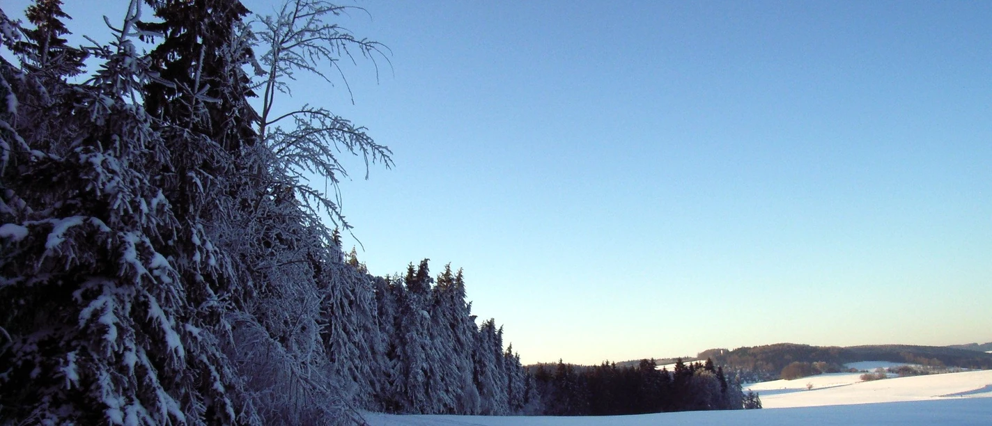 Pascherrunde/Sohland