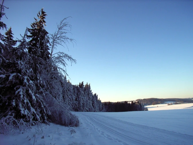 Pascherrunde/Sohland