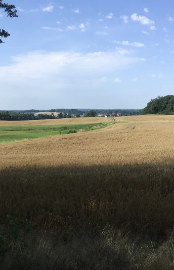 Landschaft bei Bärnsdorf