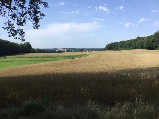 Landschaft bei Bärnsdorf