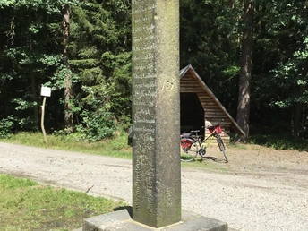 Grüne Säule in der Laußnitzer Heide