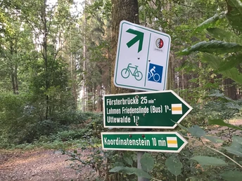 Markierung Radroute 3