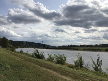 Blick vom Elberadweg Richtung Fernsehturm