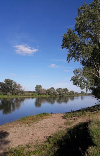 Elbe bei Niedergohlis