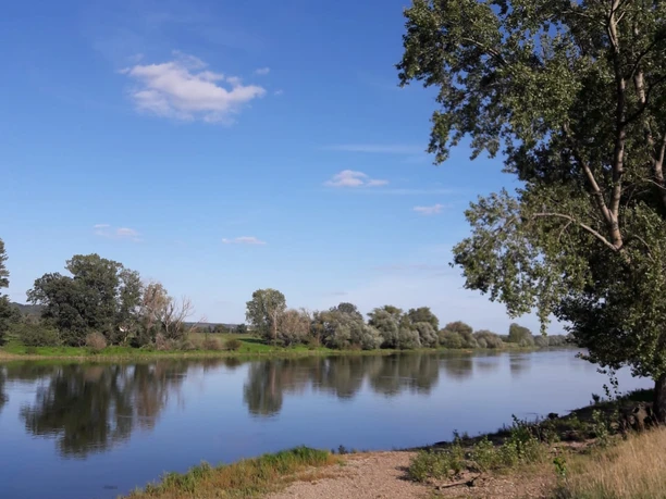 Elbe bei Niedergohlis