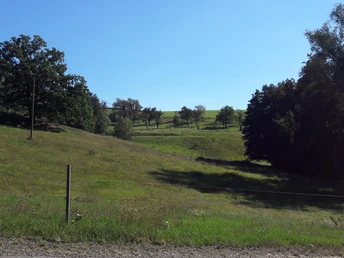Saubauchtal bei der Neudeckmühle