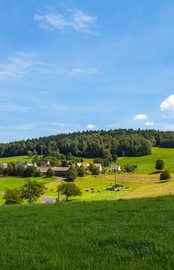 Blick zum Schleißberg
