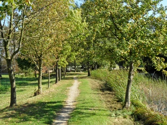 Wanderweg in Rammenau