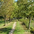 Wanderweg in Rammenau