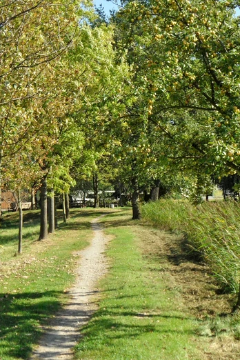 Wanderweg in Rammenau