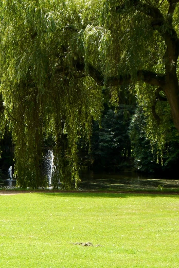 Barockschloss Rammenau