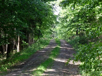 Wanderweg am Schwarzenberg