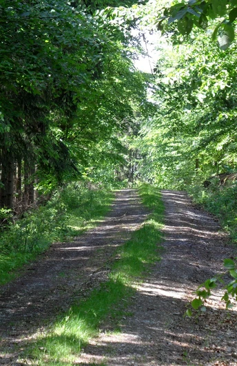 Wanderweg am Schwarzenberg