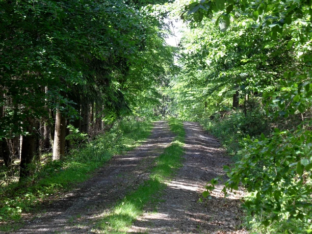 Wanderweg am Schwarzenberg