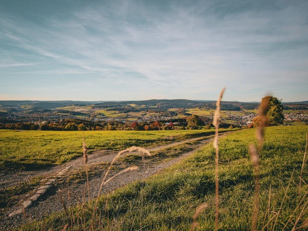 Ausblick Pilz Bernsbach