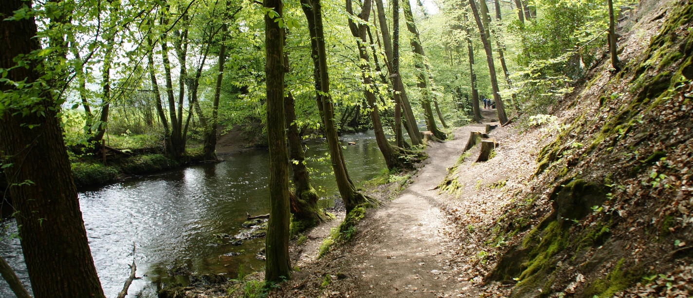Eifgenbachweg Ein idyllischer Waldweg neben einem klaren Bach, umgeben von grünen Bäumen im Frühling.