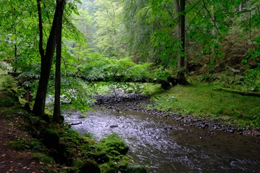 Polenztal