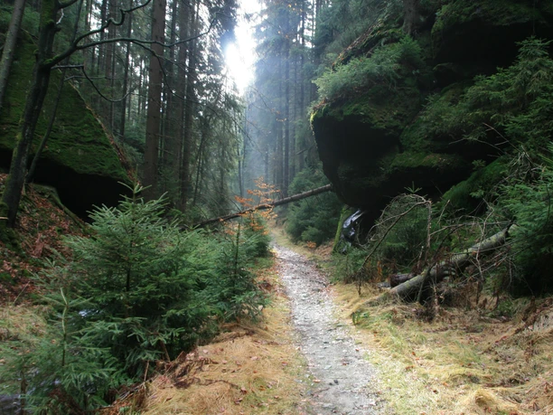 Weißbachtal