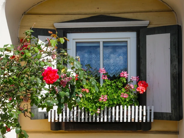 Liebevoll gestaltetes Umgebindehaus