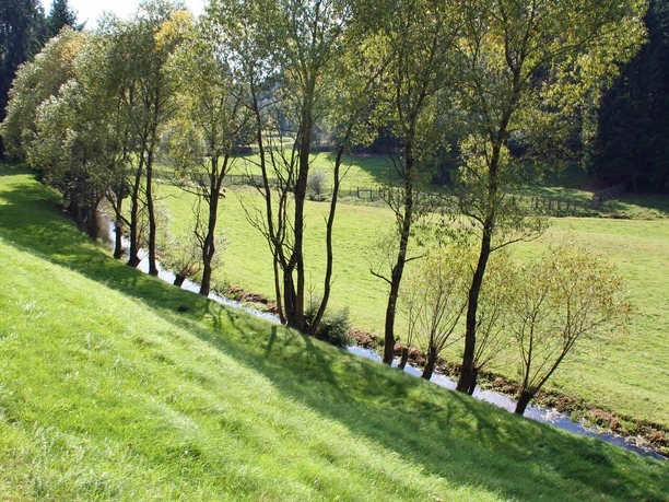Zinsbachtal