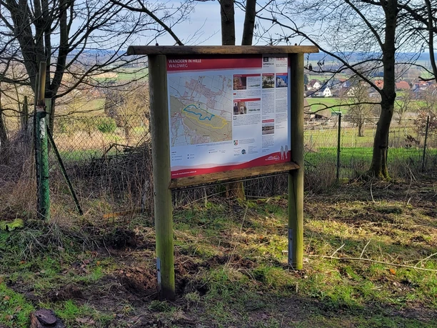 Informationstafel im Wald, umgeben von kahlen Bäumen, zeigt Wanderweg über bewaldetes Gebiet.
